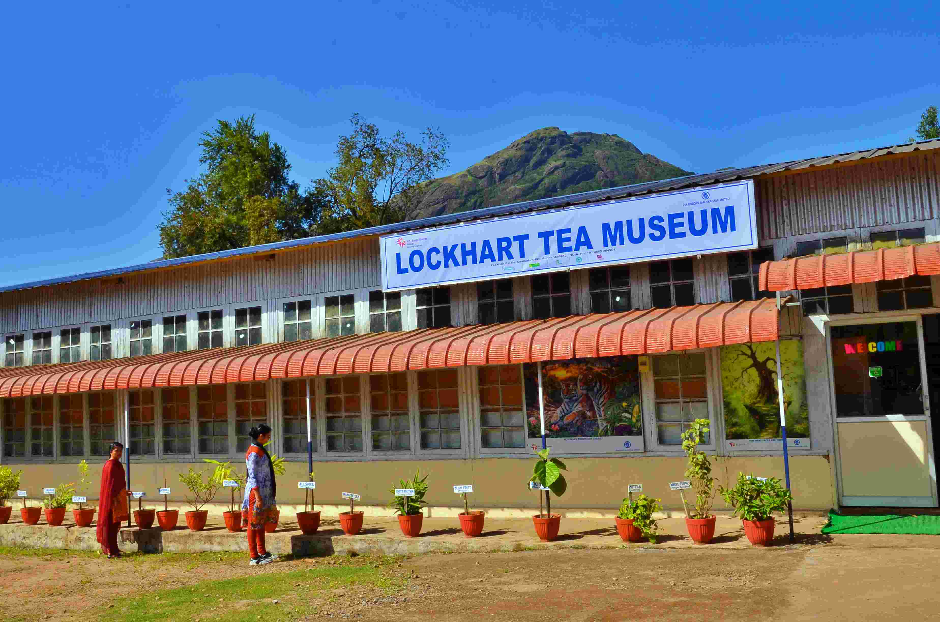 Munnar Tea Factory Visit – Lockhart Tea Factory